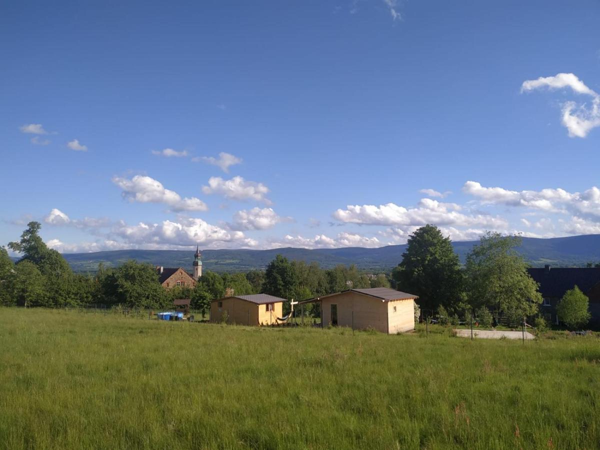 Domek W Gorach Izerskich 4 I 6 Osobowy, Agroturystyka, Zywe Zwierzeta, W Pelni Wyposazone, Plac Zabaw Dla Dzieci, Ognisko Z Kijkami I Rusztem, Ogrzewanie I Klimatyzacja, Latem Basen Mirsk Екстериор снимка